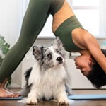 Doggy+Yoga