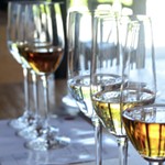 Dia+de+los+Muertos+Tequila+Pairing+Dinner