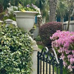 Ansonborough+House+%26+Garden+Tour